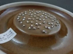 Mujun Japan | Suri Plate / Grater -Profil Optik Salgsbutik HochoHigoWhetstoneOroshigane 010