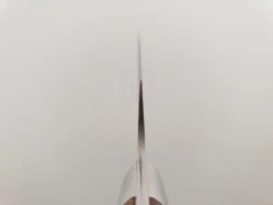 Takeshi Saji | Nickel Damascus 240mm Sujihiki Knife (Iron Wood) -Profil Optik Salgsbutik SajiDamascusKnife 20