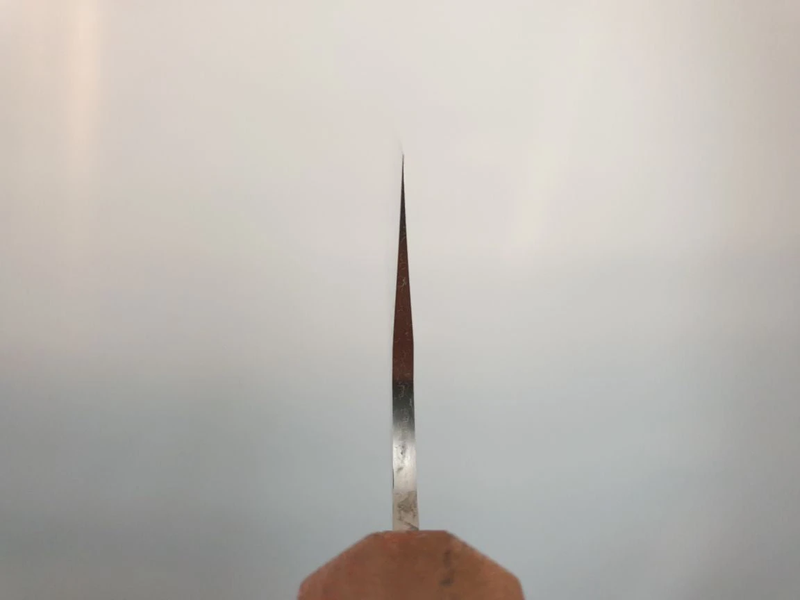 Takeshi Saji | SPG STRIX 210 Gyuto Knife 7 Takeshi Saji | SPG STRIX 210 Gyuto Knife - Billede 5