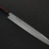 Sakai Takayuki INOX | 270mm Yanagiba Knife