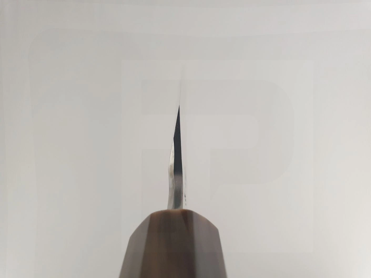 Sakai Takayuki Zangetsu | 390mm Sakimaru Yanagiba Knife 7 Sakai Takayuki Zangetsu | 390mm Sakimaru Yanagiba Knife - Billede 5