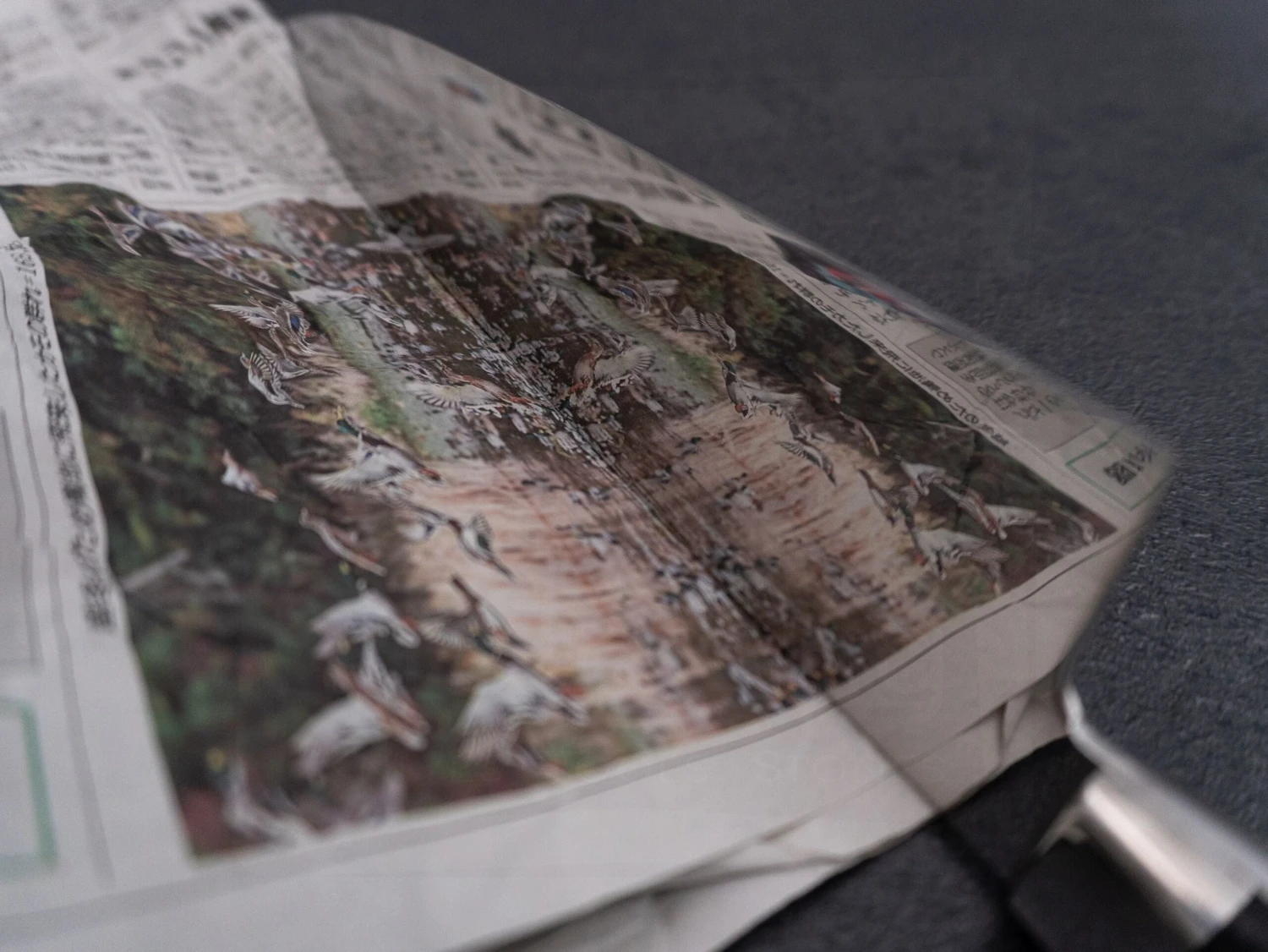 Yoshida Hamono ZDP Honyaki | 240 Gyuto Knife 8 Yoshida Hamono ZDP Honyaki | 240 Gyuto Knife - Billede 6